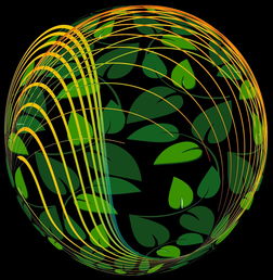 开云 kering 集团-未来青训：生态系统构建助推足球强国梦，足球生态系统建设