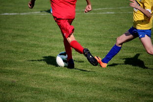 开云体育软件-国际足球俱乐部青训论坛在广州召开，国际足联青训补偿标准