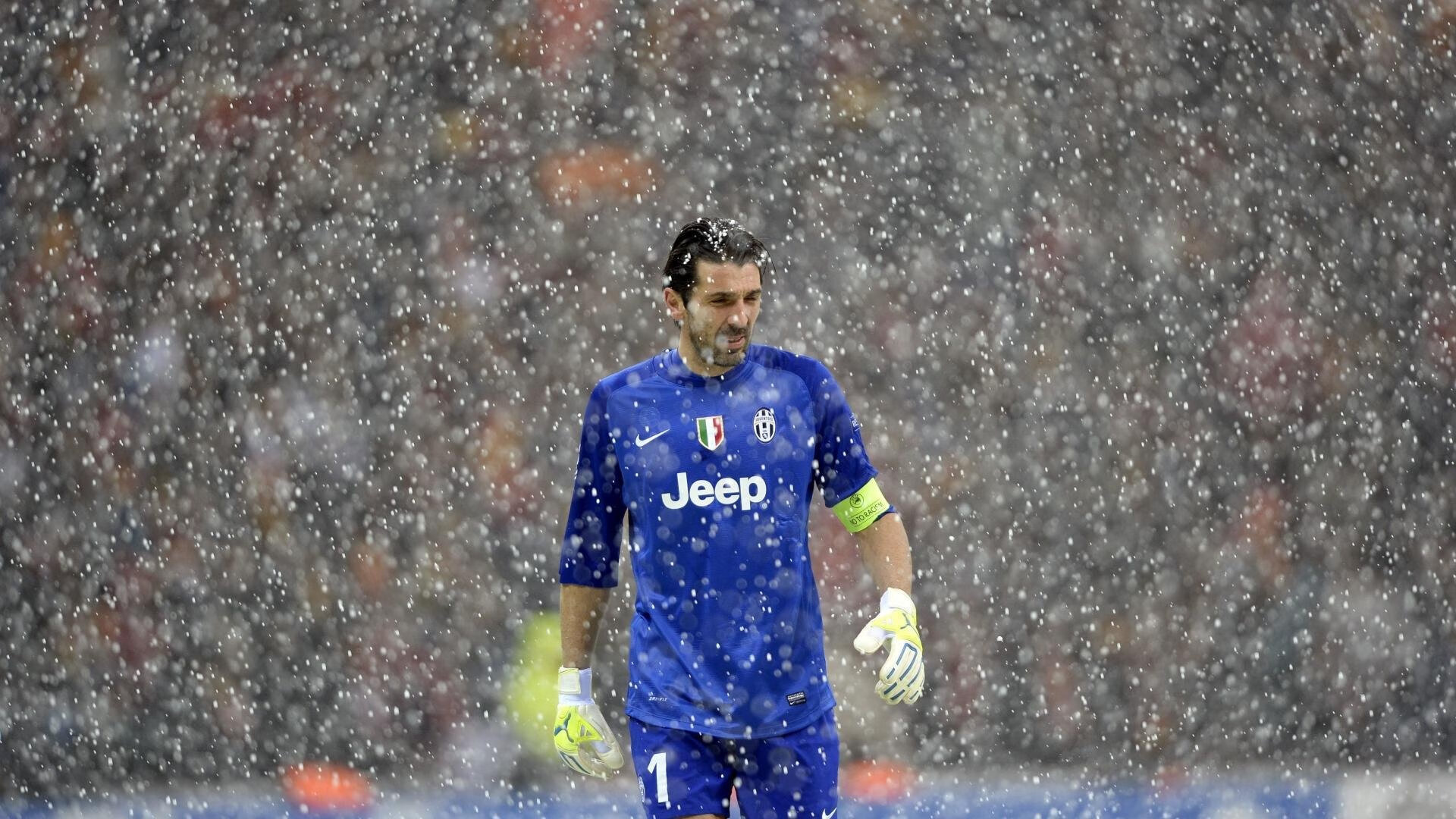 自由泳双姝配合默契摘金，双人自由泳